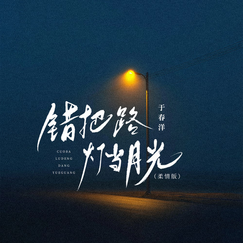 错把路灯当月光(柔情版)