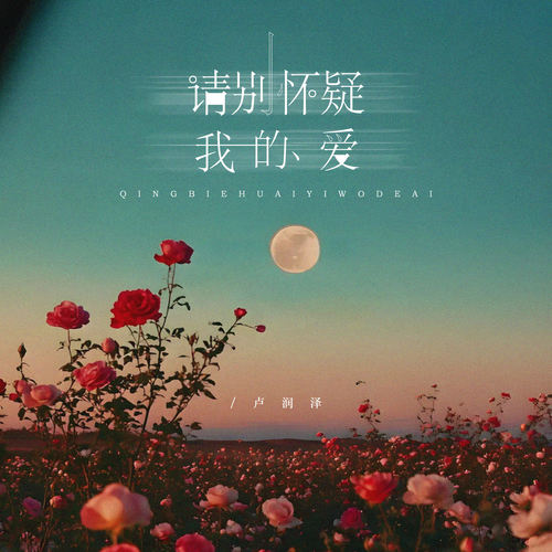 请别怀疑我的爱