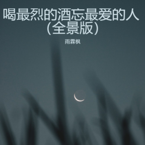 喝最烈的酒忘最爱的人（全景版）