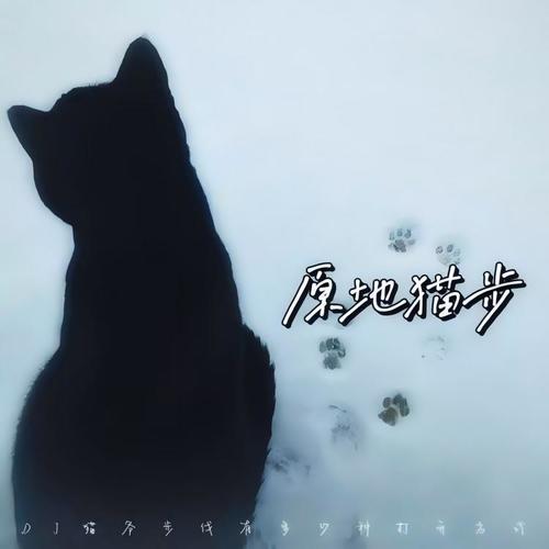 原地猫步（DJ猫爷步伐有多少种打开方式）
