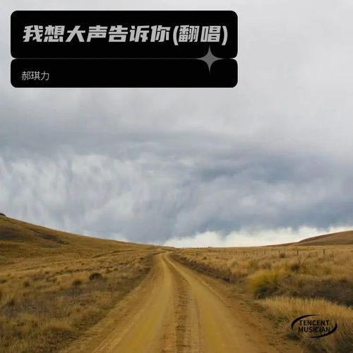郝琪力精品翻唱集2