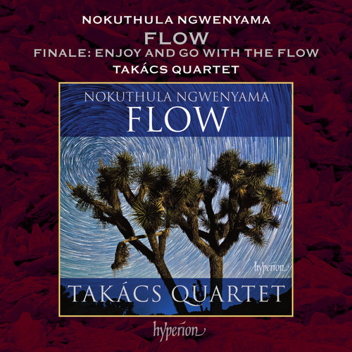 Ngwenyama: Flow: IV. Finale: b. Enjoy and Go With the Flow