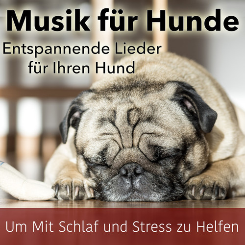 Musik Für Hunde: Entspannende Lieder Für Ihren Hund - Um Mit Schlaf Und Stress Zu Helfen