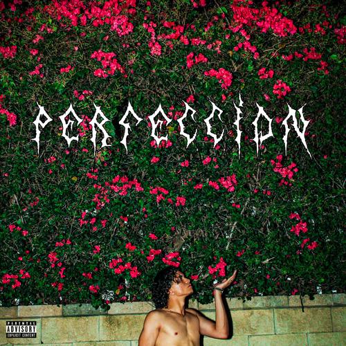 Perfeccion (Explicit)