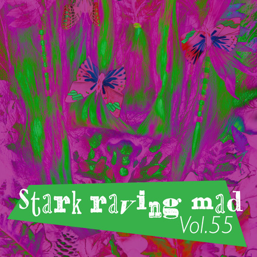 Stark Raving Mad, Vol. 55 (Explicit)