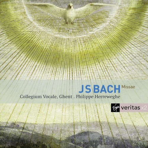 Bach: Masses, BWV 233 - 235 & Sanctus, BWV 238