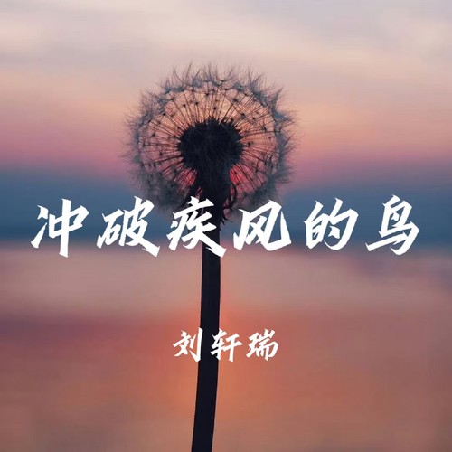 冲破疾风的鸟