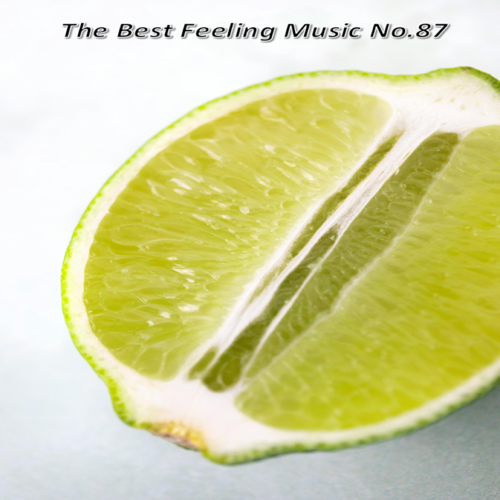 The Best Feeling Music No.87