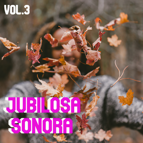 Jubilosa Sonora Vol. 3 (Explicit)