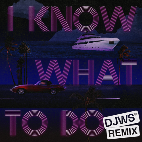 I Know What To Do - DJWS Remix