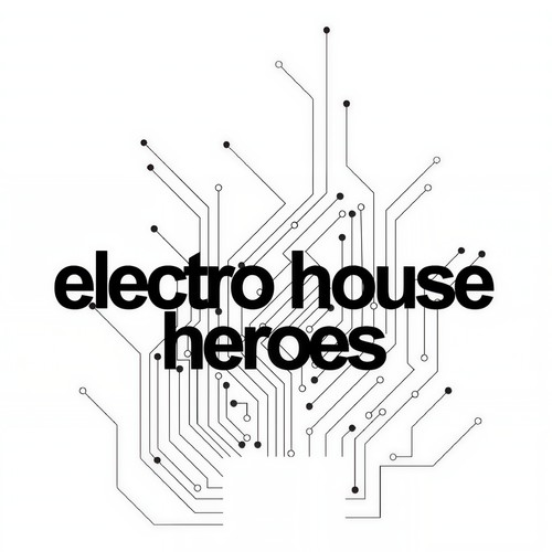 ELECTRO HOUSE HEROES