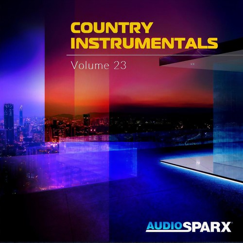 Country Instrumentals Volume 23