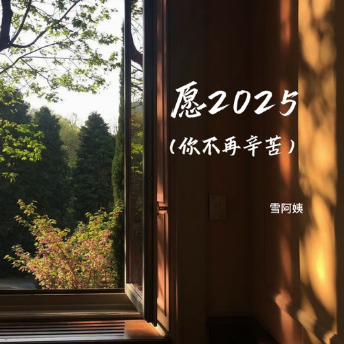 愿2025（你不再辛苦）