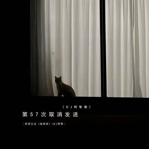 第57次取消发送 (DJ阿智版)