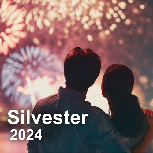 Silvester 2024 (Explicit)