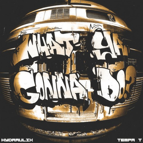 What Ya Gonna Do? (Explicit)