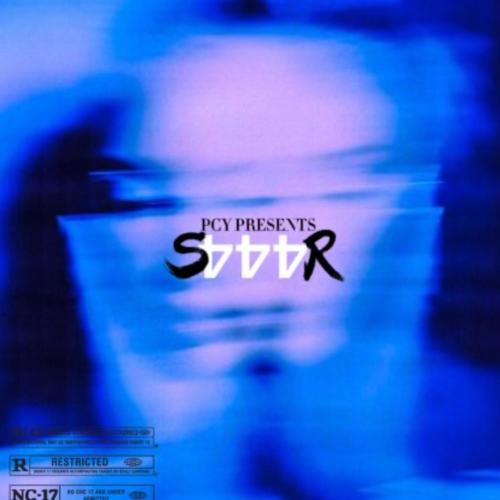 S4R (Explicit)