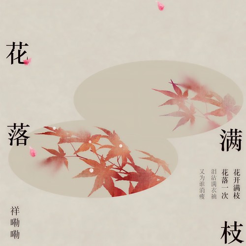 花落满枝（DJ范小松版）