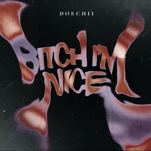 Bitch I'm Nice (Explicit)