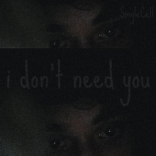 I Don't Need You (Explicit)