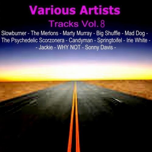 Tracks Vol. 8