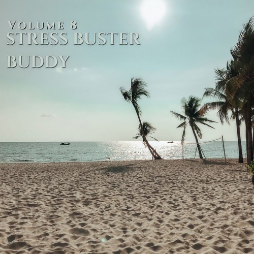 Stress Buster Buddy Vol 8 (Explicit)
