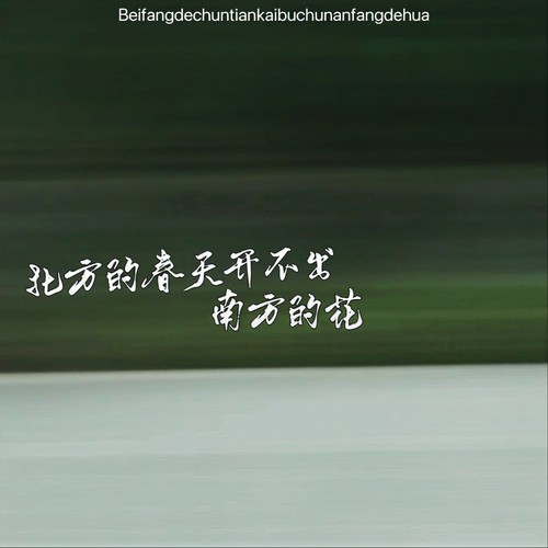 北方的春天开不出南方的花（抒情版）