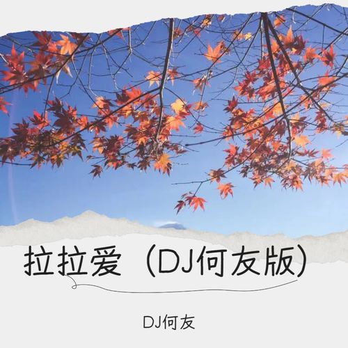 邵雨涵 - 拉拉爱（DJ何友版）