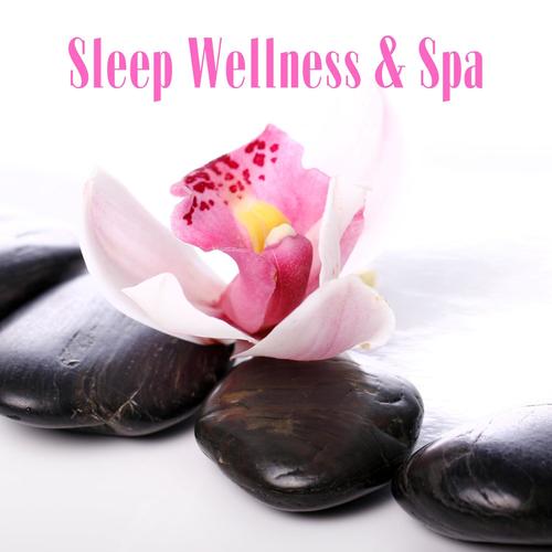 Sleep Wellness & Spa