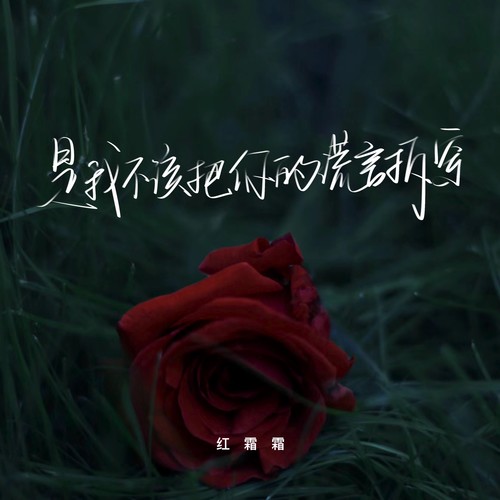 是我不该把你的谎言拆穿
