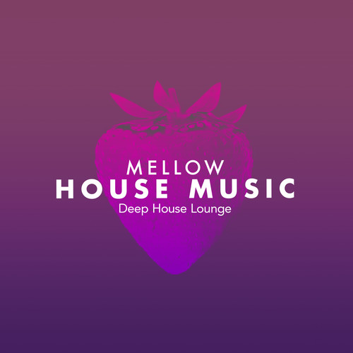 Mellow House Music
