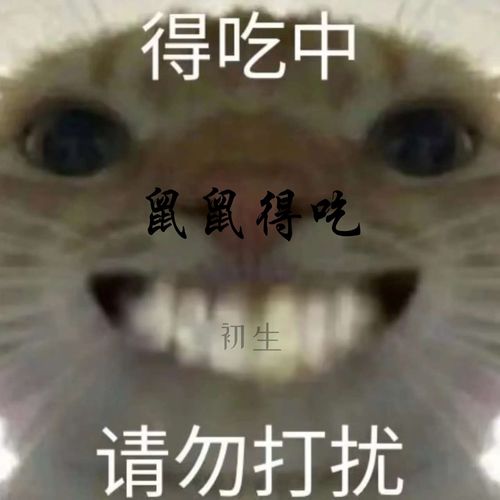 鼠鼠得吃