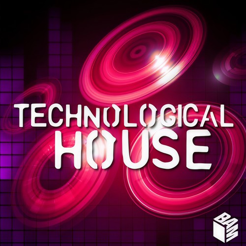 Technological House