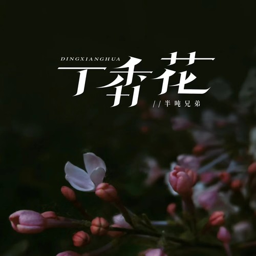 丁香花（烟嗓版）