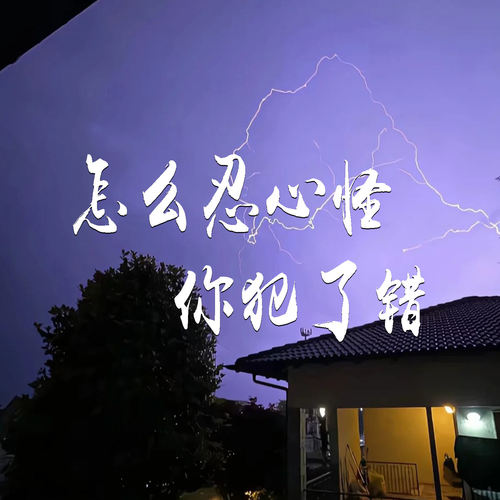 怎么忍心怪你犯了错