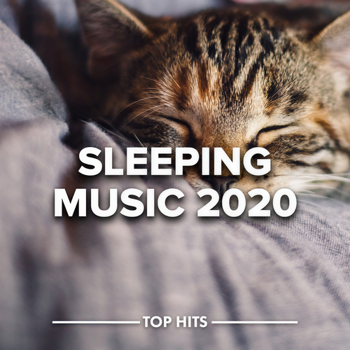 Sleeping Music 2020 (Explicit)