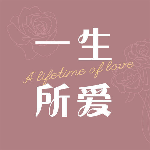 一生所爱（DJ散人版）