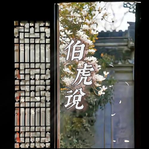 伯虎说 (DJ版)