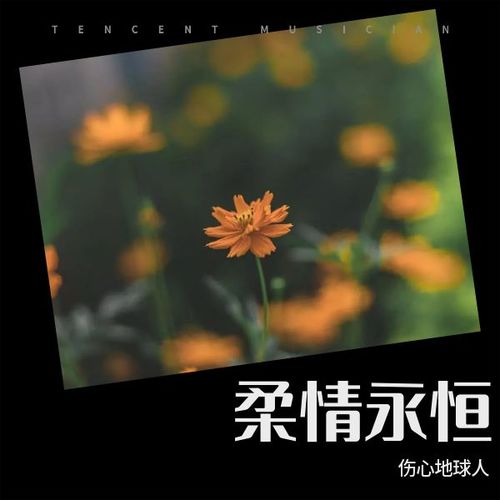 柔情永恒