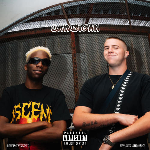 Cardigan (feat. KindlyNxsh) [Explicit]