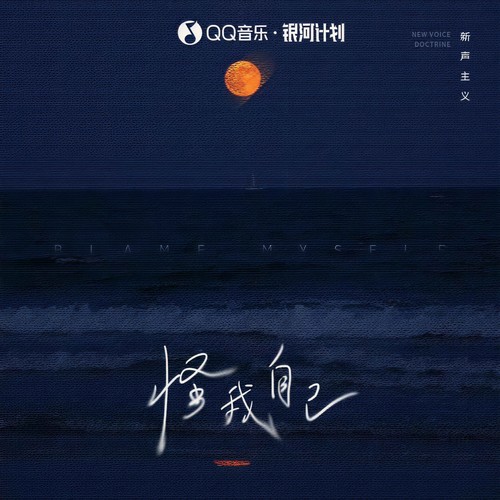 怪我自己