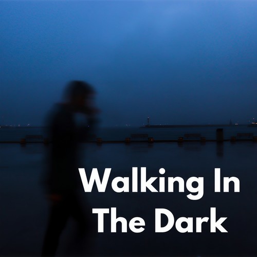 Walking In The Dark (Explicit)