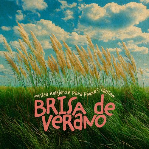 Brisa de verano