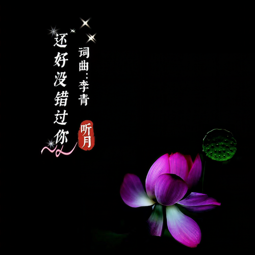 还好没错过你
