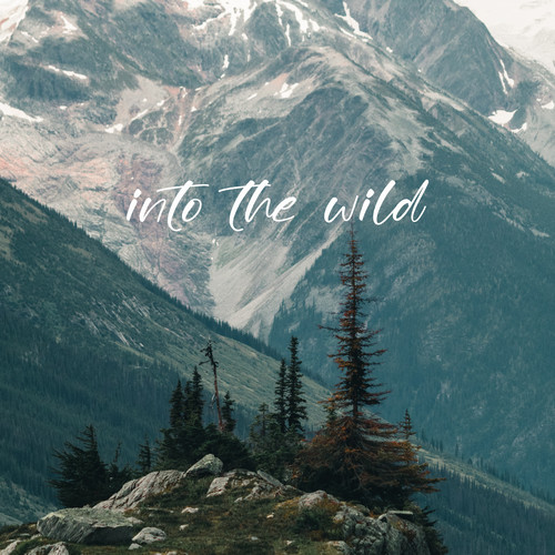 Into the wild