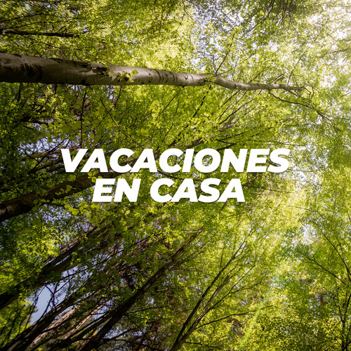 Vacaciones en casa