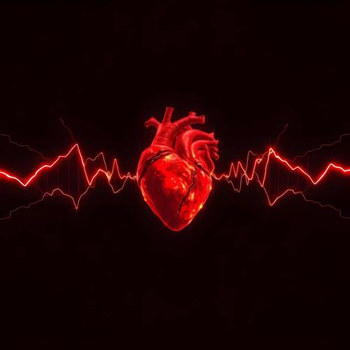 Screams of Love
