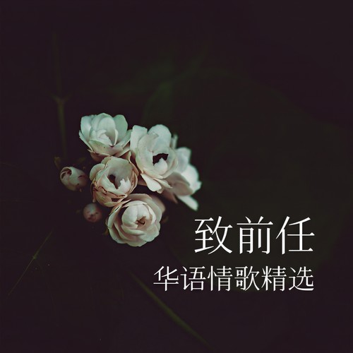 致前任 | 华语情歌精选