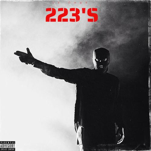 223'S (Explicit)