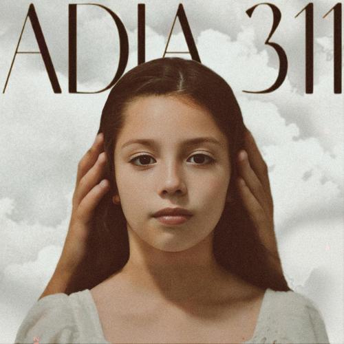 ADIA 311 (I. La Libreta)